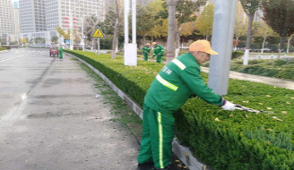  綠化管理