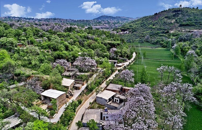 智能垃圾分類(lèi)如何為城市環(huán)境注入新活力